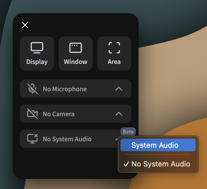 Recording the Entire Display